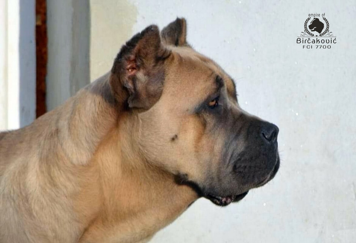 Lorena Del Nostro Destino